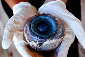 Marlin Eye