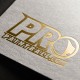 Pro Paintball Logo