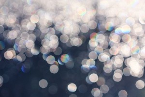 Search Engine Optimization